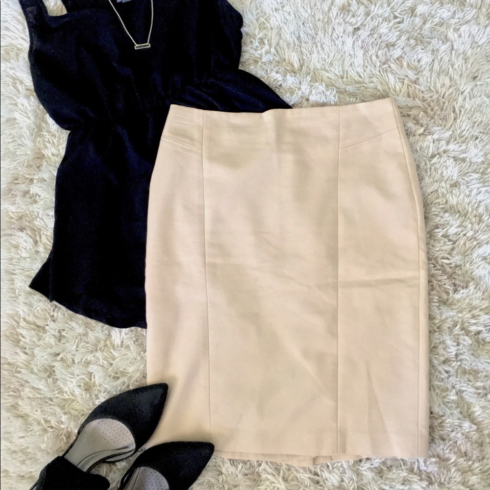 Ann Taylor Skirt